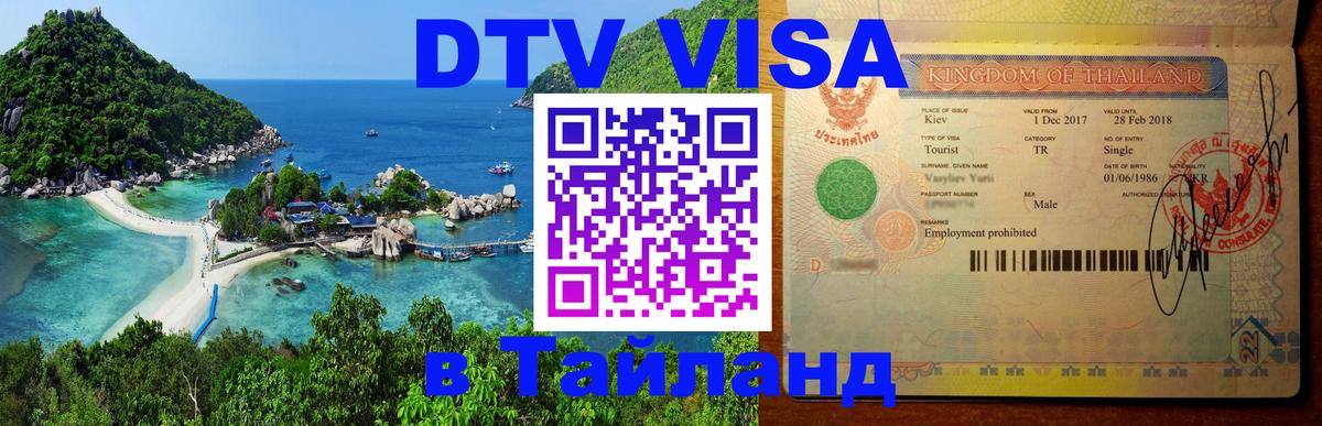 Сколько стоит DTV виза — актуальные цены, оформление даже без документов - Михайловск 